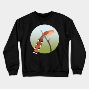 Squirrel cuckoo Crewneck Sweatshirt